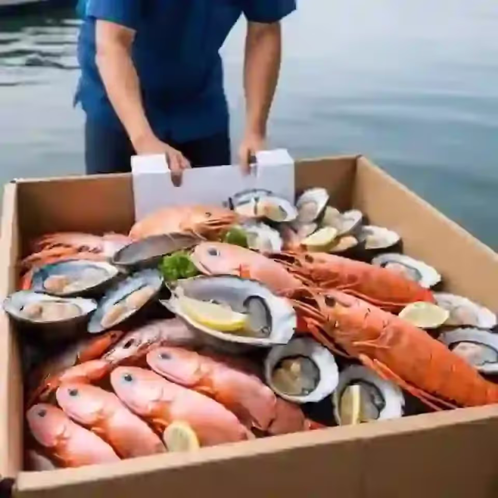 Catch of the Day: Experience Premium Seafood Delivery at Your Doorstep